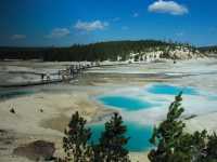 Trekking along the beautiful sights of Mammoth Hot Springs in Yellowstone National Park |  Sue Badyari